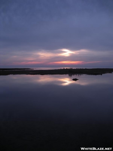 Assateague Island