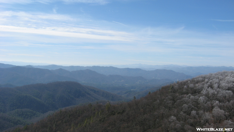 Jones Meadow Through Big Firescald Knob