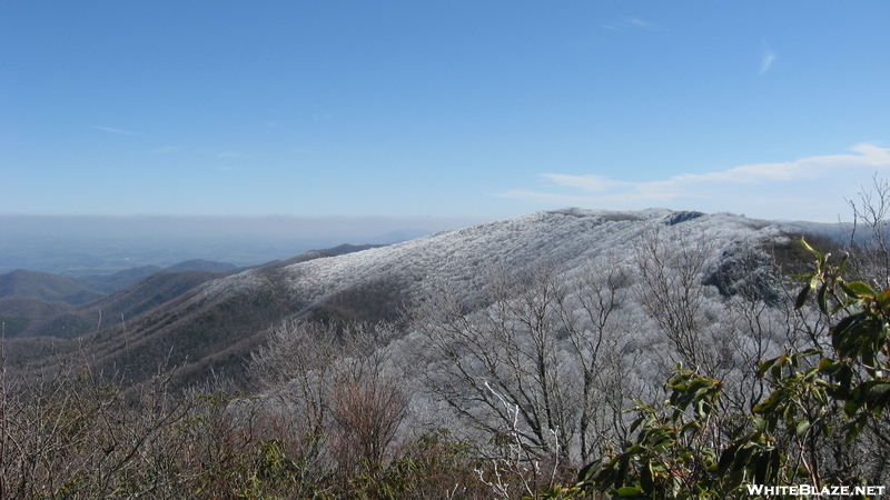 Jones Meadow Through Big Firescald Knob