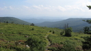 Grayson Higlands Thomas Knob Area by Jayboflavin04 in Views in Virginia & West Virginia