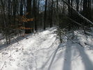 Devils Fork Gap To Hot Springs Nc November 2008 by Two Phils in Section Hikers