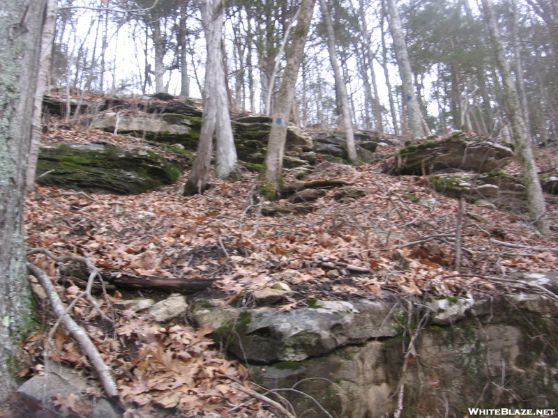 Winter Hikes In Tennesee