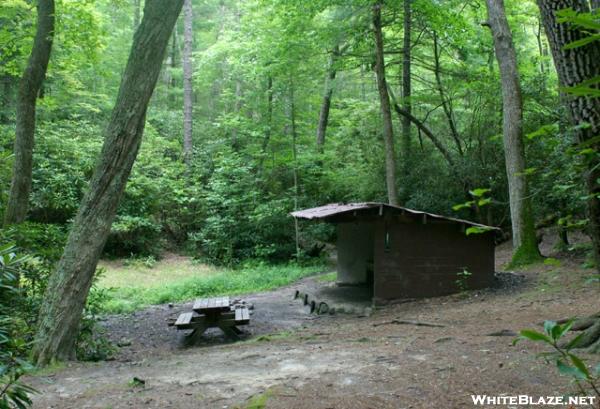Curley Maple Shelter