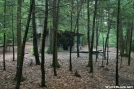 No Business Knob Shelter by Tripod in North Carolina & Tennessee Shelters