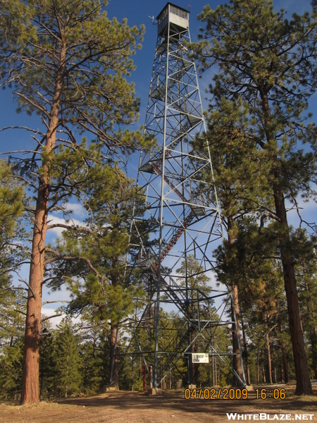 Arizona Trail: Jacob Lake Fire Tower