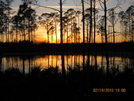 Juniper Prairie Wilderness (flt 2010) by K.B. in Florida Trail