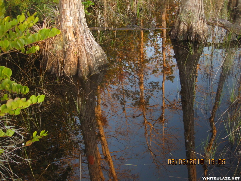 Big Cypress (flt 2010)