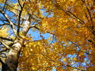 Fall Colors On The Superior Hiking Trail (nct) by K.B. in North Country NST