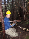 Maine Trail Crew by hikingbear in Maintenence Workers