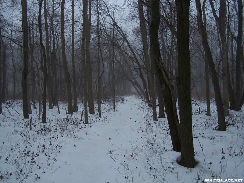 Winter Hike