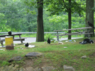 2009-0802d Buzzards At Bear Mt Park by Highway Man in Views in New Jersey & New York