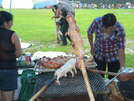 2009-0802f Cookout At Graymoor Spiritual Life Center by Highway Man in New Jersey & New York Shelters