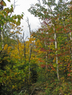 2009-0922c Trail Near Carrabassett River by Highway Man in Views in Maine