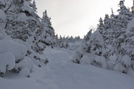 2008-02a-Ammonoosuc Trail, NH