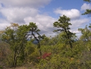 2008-10d09-between Culvers Gap And Brink Road