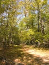 2008-10d11-to Brink Road Shelter by Highway Man in Trail & Blazes in New Jersey & New York