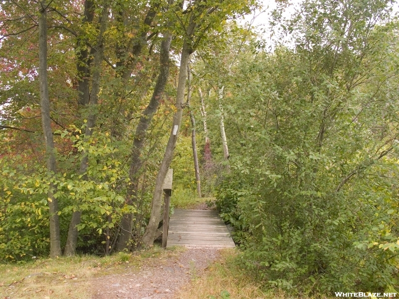 2008-10e2-a Bridge Over A Stream