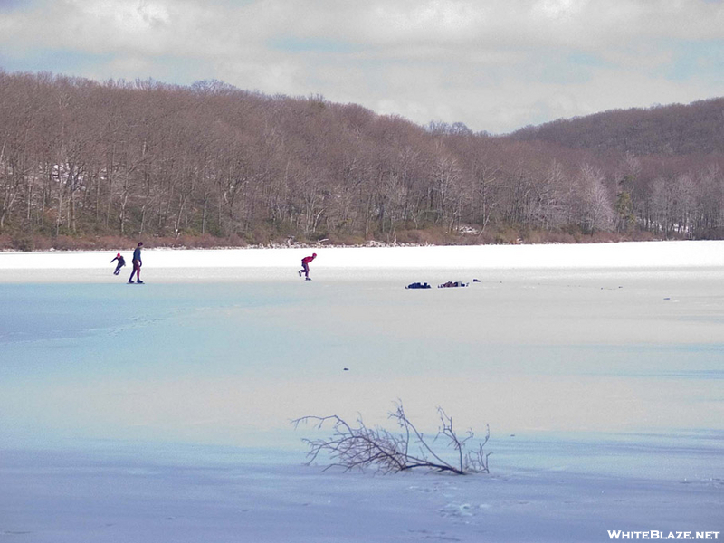 2008-01-Sun Fish Pond