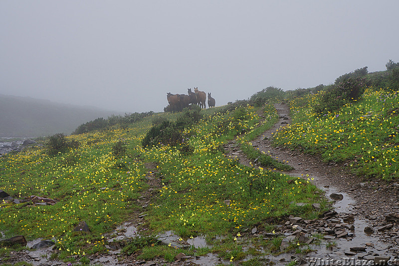 June 2014 Minya Konga Backpacking, China