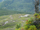 2009-0915o George & Gracie Before Goose Eye Mt. East, Me by Highway Man in Thru - Hikers