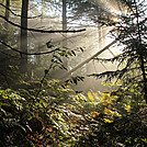 2011 Sept. LT section hike by Highway Man in Long Trail