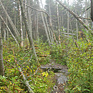 2011 Sept. LT section hike