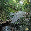 2011 Sept. LT section hike by Highway Man in Long Trail