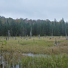 2011 Sept. LT section hike by Highway Man in Long Trail