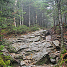 2011 Sept. LT section hike by Highway Man in Long Trail