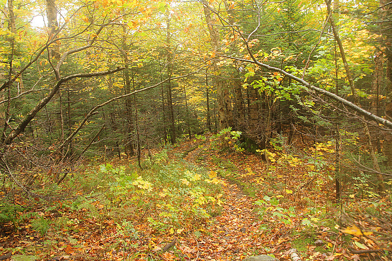 2011 Sept. LT section hike