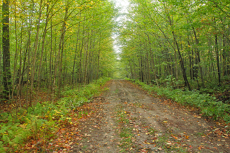 2011 Sept. LT section hike