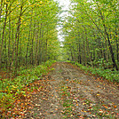 2011 Sept. LT section hike by Highway Man in Long Trail