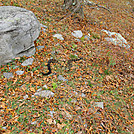 20111022 Delaware Water Gap by Highway Man in Other Trails