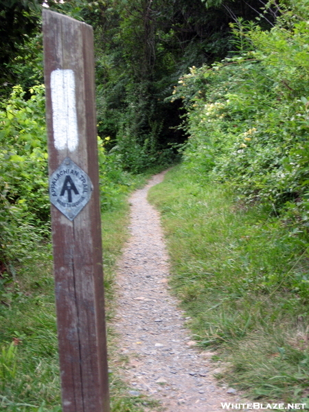 Trail As It Heads Off From C&o Canal