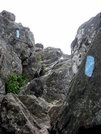 Beginning(or End) Of Rock Scramble To Bearfence Summit by hikingfieldguide in Trail & Blazes in Virginia & West Virginia