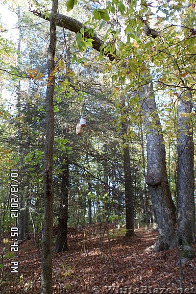 Iron Mnt. Gap to US19E