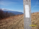 Max Patch To I40(standing Bear) by hikingshoes in Section Hikers