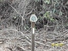 Max Patch To I40(standing Bear) by hikingshoes in Section Hikers