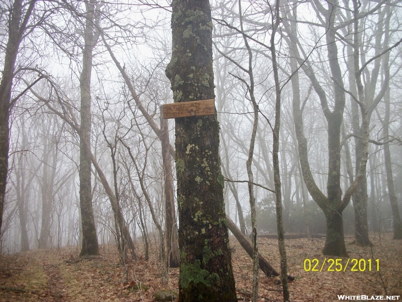 Max Patch To Hot Springs,nc.