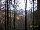 Max Patch To Hot Springs,nc. by hikingshoes in Section Hikers