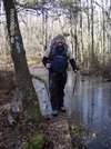 Swampfox Passage-part Of The Palmetto Trail by hikingshoes in Day Hikers