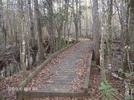 Swampfox Passage-part Of The Palmetto Trail