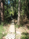Tuxachanie Trail (desoto National Forest) by SMSP in Other Trails