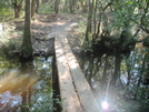 Tuxachanie Trail (desoto National Forest)