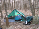 Bat Cave by Frog in Tent camping