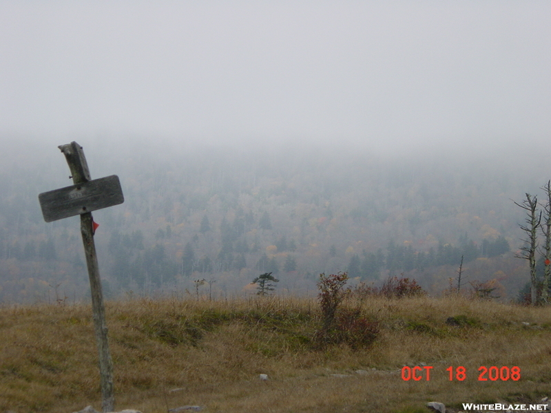 Crest Trail Mount Rogers Area