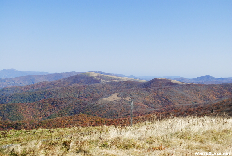 Roan Mountain Area