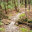 A.T. North Of Sheet Iron Roof Road, PA, 09/02/12 by Irish Eddy in Views in Maryland & Pennsylvania