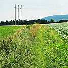 A.T. North of Ledigh Drive, Boiling Springs, PA, 06/14/15 by Irish Eddy in Views in Maryland & Pennsylvania