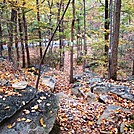 A.T. North Of Whiskey Springs Road, PA, 10/06/12